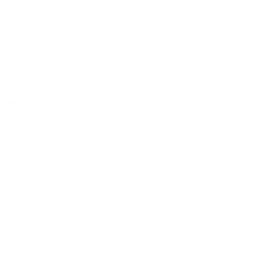 Experience Levi logo